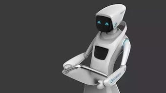 笨拙的起点，智慧的飞跃 从今日机器人到电脑动画设计的未来